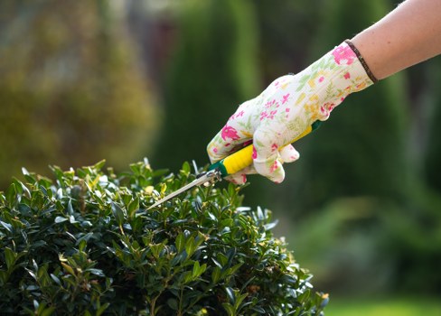 A close-up view of a gardener's gloved hand using pruning scissors to trim a neatly shaped hedge in a well-maintained garden. The hedge features dense, dark green foliage, bordered by a flower bed with a variety of plants and shrubs. Behind the hedge, there is a lawn with lush, evenly cut grass and a paved pathway made of grey stone slabs. In the background, mature trees with green leaves create a natural backdrop, indicating a healthy outdoor environment typical of a residential garden in the Crystal Palace area. The scene is set on a clear day with natural light illuminating the garden’s features, showcasing the careful landscape maintenance provided by Garden Maintenance Crystal Palace, highlighting their expertise in gardening and outdoor care services.
