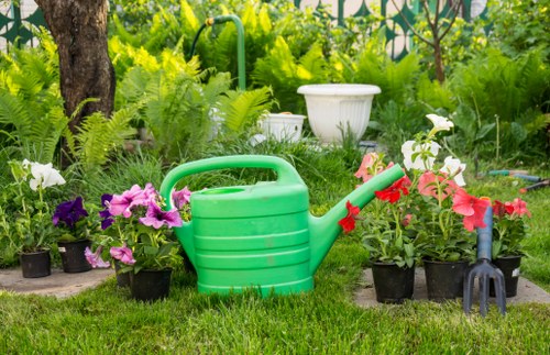Gardener inspecting a residential garden before maintenance