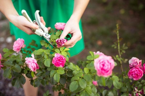 Operative performing routine garden maintenance at a suburban property