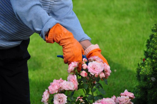 Seasonal garden maintenance tools